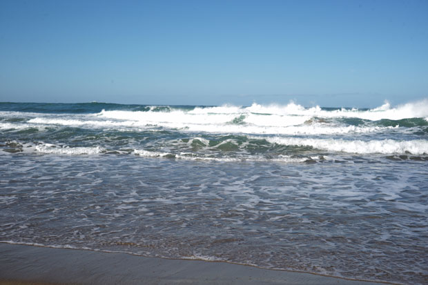 L1002315.jpg