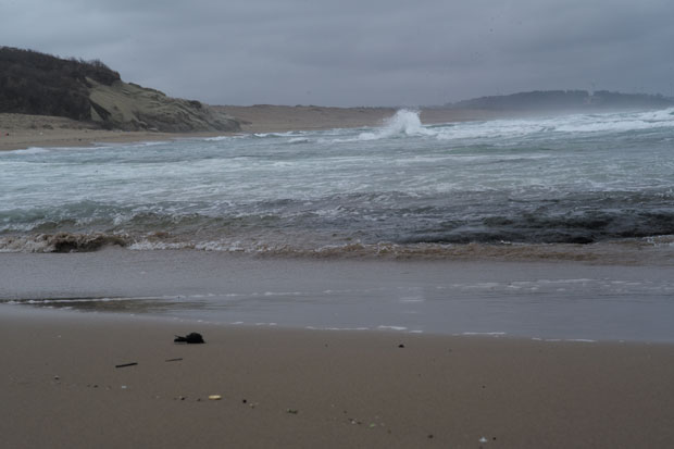 L1002316.jpg