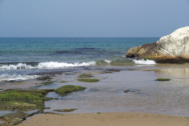 L1002387.jpg