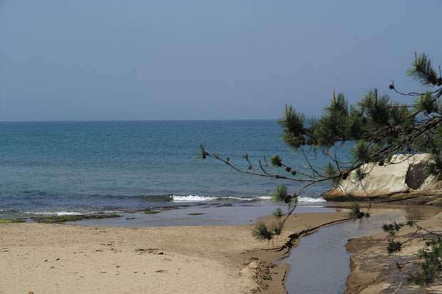 L1002402.jpg