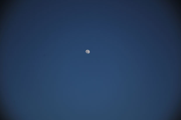 L1002558.jpg