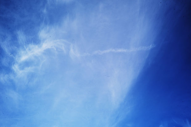L1002814.jpg