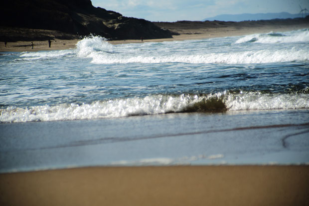L1003161.jpg