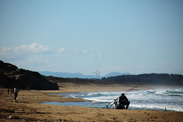 L1003176.jpg