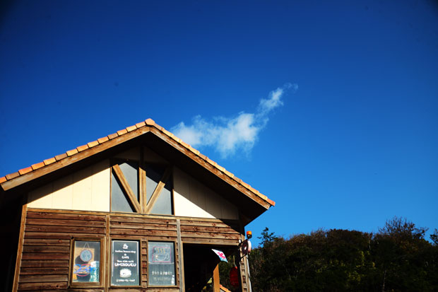 L1003181.jpg