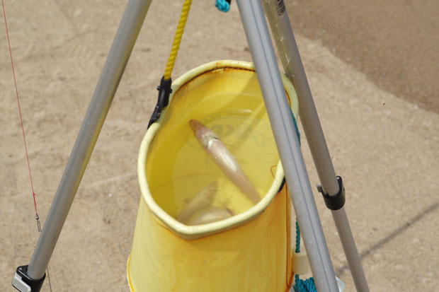 L1003351.jpg