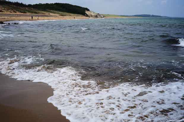 L1003424.jpg