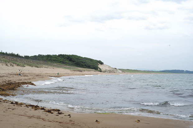 L1003506.jpg