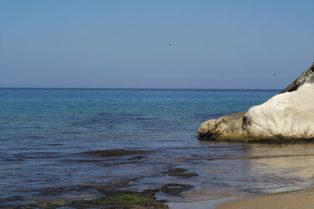 L1003619.jpg
