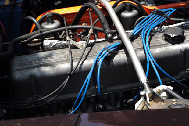 L1003714.jpg