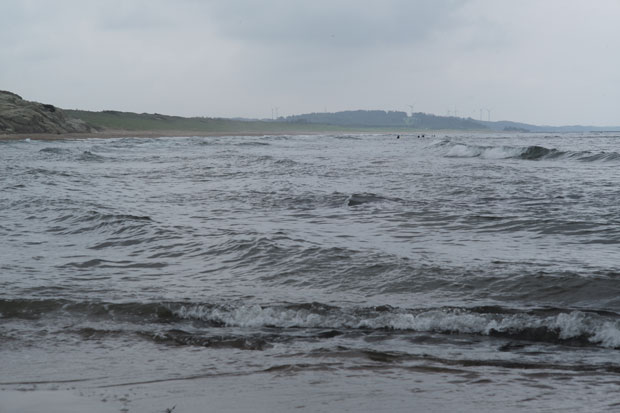 L1003891.jpg