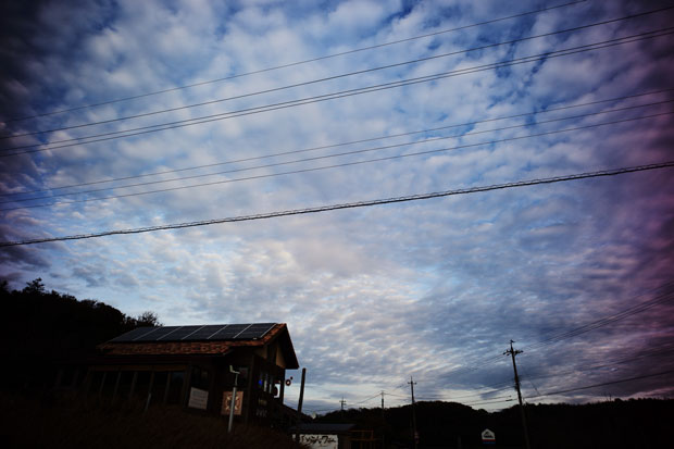 L1003908.jpg