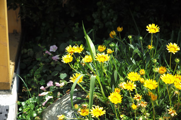 L1004020.jpg
