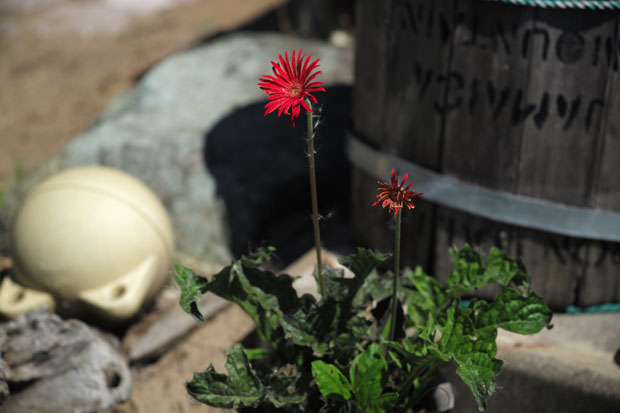 L1004104.jpg