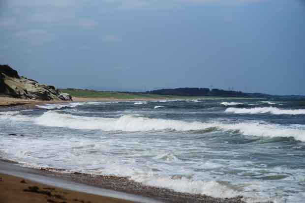 L1004164.jpg