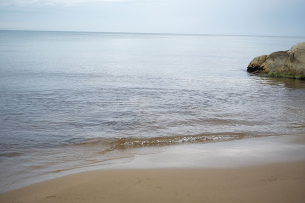 L1004165.jpg
