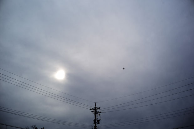 L1004238.jpg