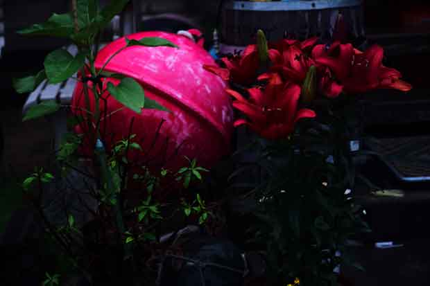 L1004247.jpg