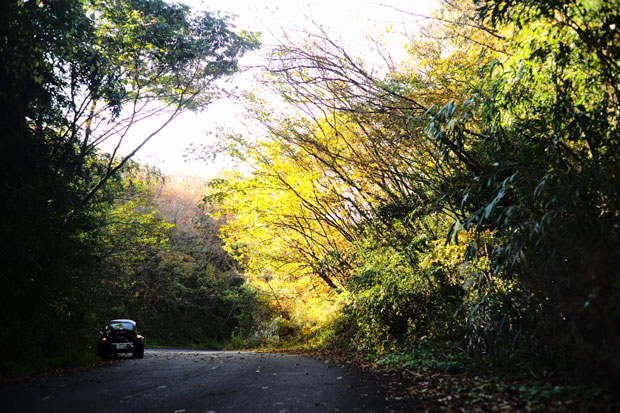 L1004312.jpg