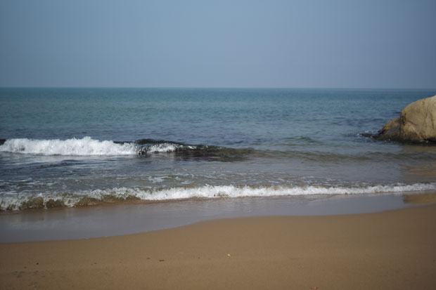 L1004429.jpg