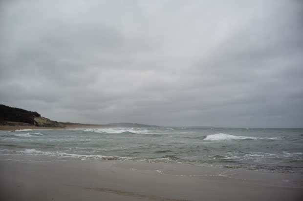 L1004439.jpg