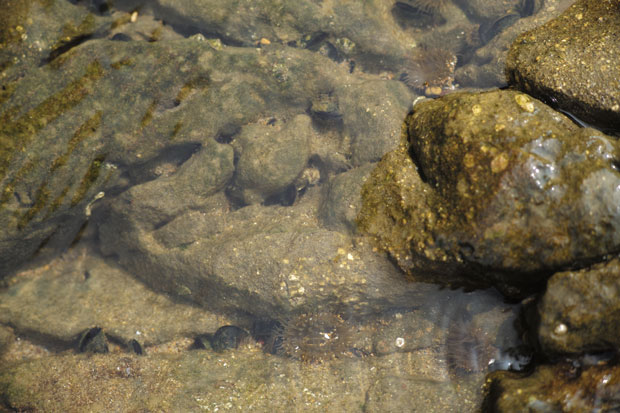 L1004454.jpg
