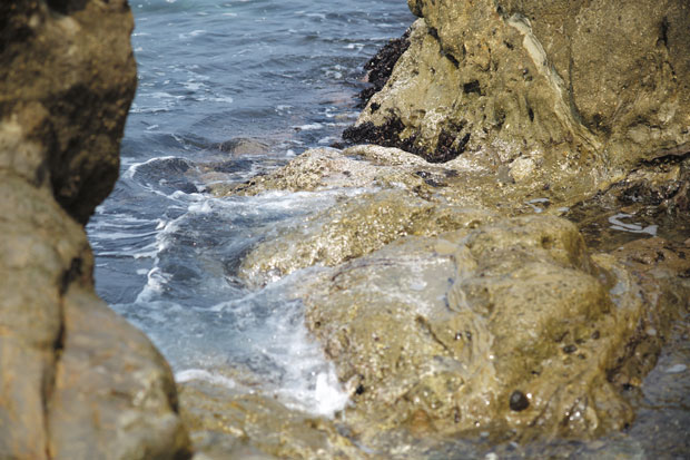 L1004463.jpg
