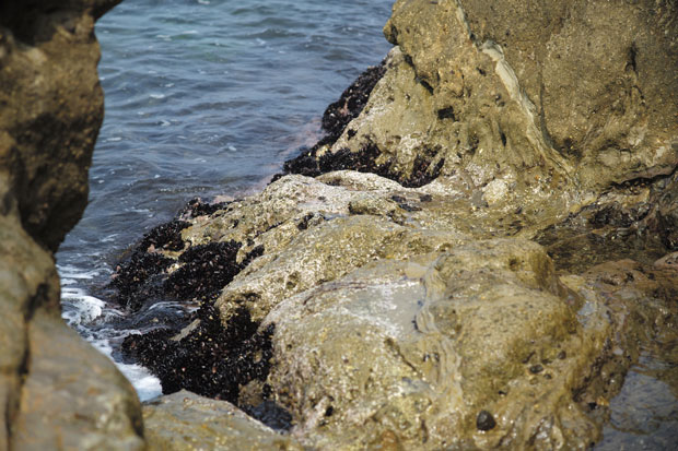 L1004470.jpg