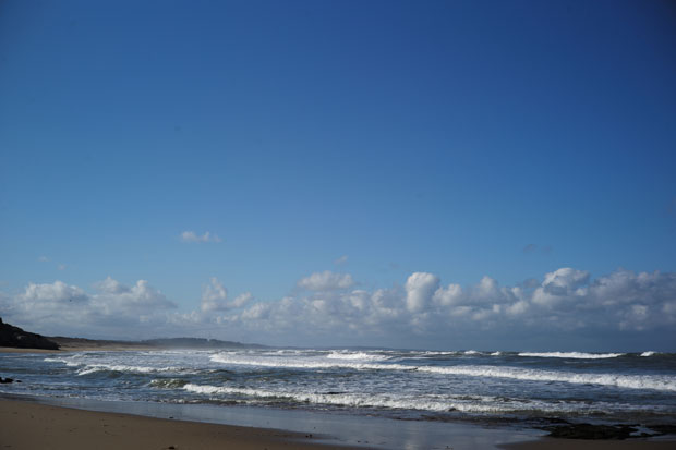 L1004489.jpg