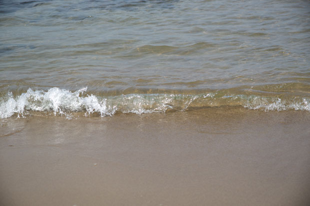 L1004521.jpg