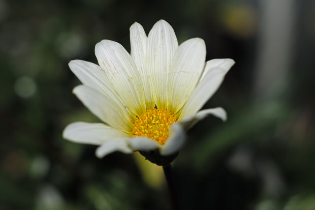 L1004809.jpg