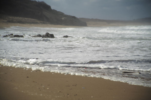 L1004911.jpg