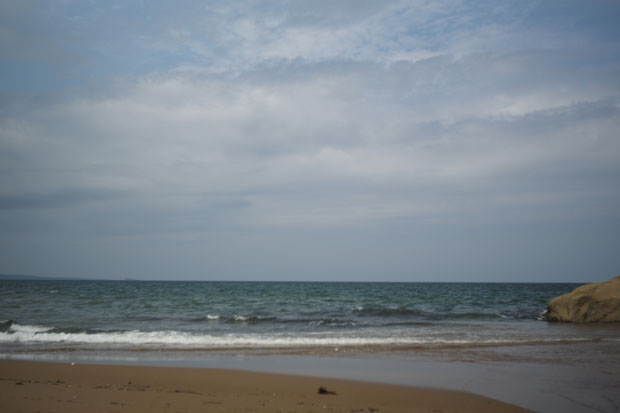 L1005074.jpg