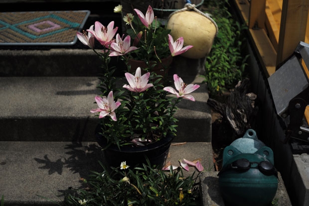 L1005086.jpg
