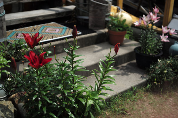 L1005089.jpg
