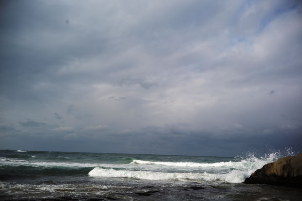 L1005248.jpg
