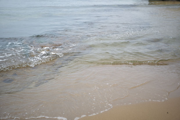 L1005276.jpg