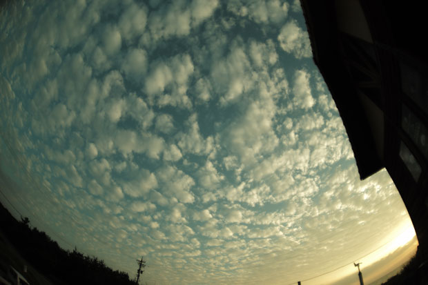L1005347.jpg