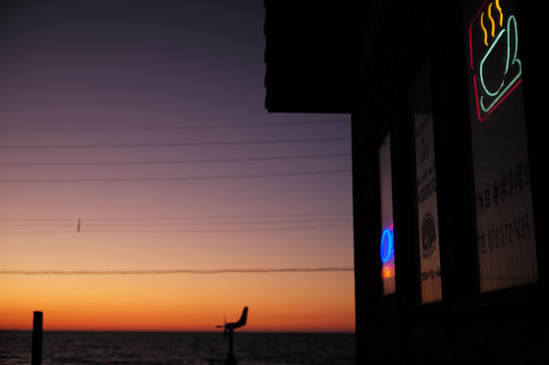 L1005398.jpg