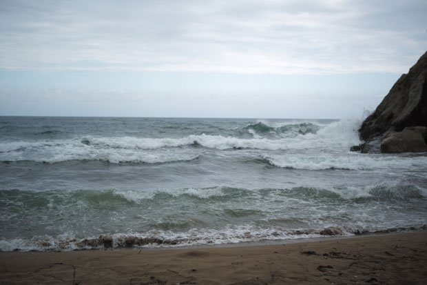 L1005444.jpg