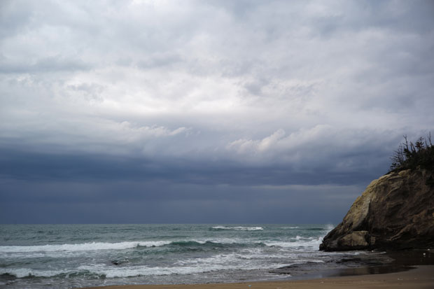 L1005751.jpg