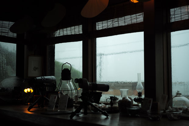 L1005805.jpg