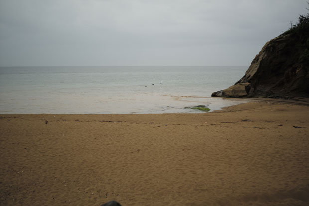 L1005817.jpg