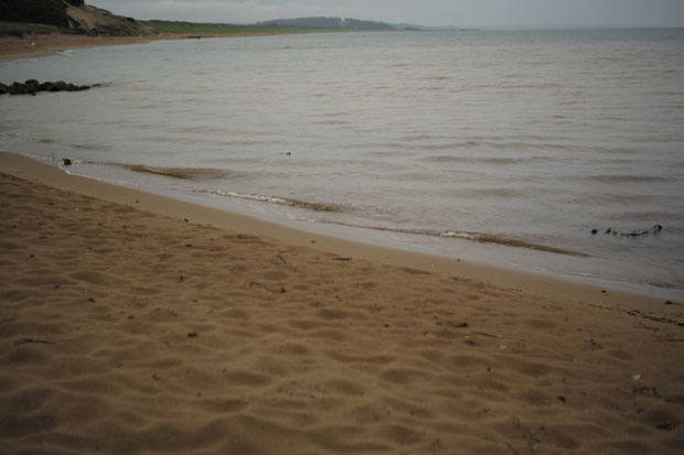 L1005820.jpg