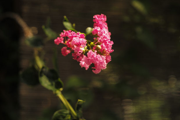 L1006741.jpg