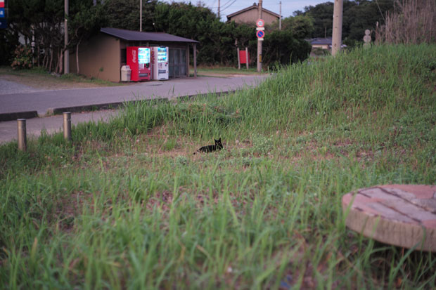 L1007058.jpg