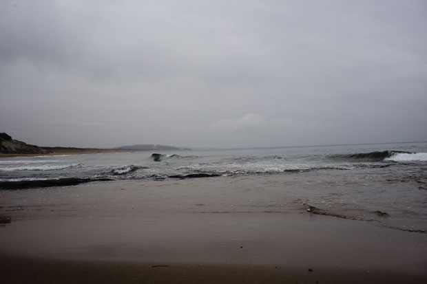 L1007239.jpg