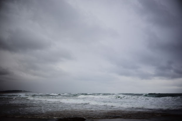 L1007529.jpg