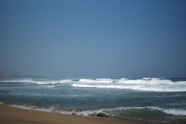 L1007555.jpg