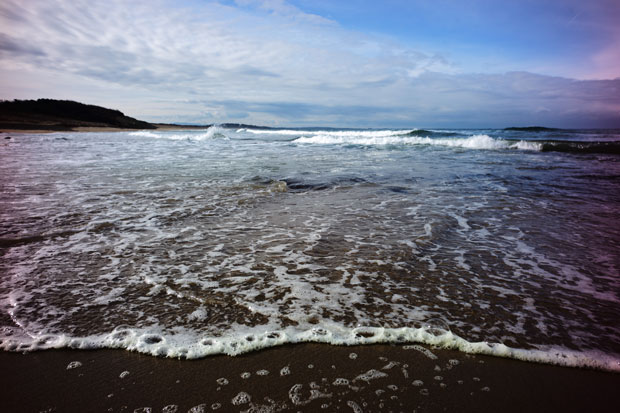L1007694.jpg